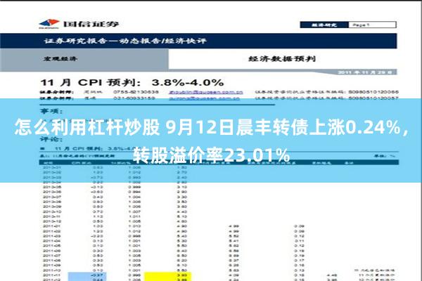怎么利用杠杆炒股 9月12日晨丰转债上涨0.24%，转股溢价率23.01%