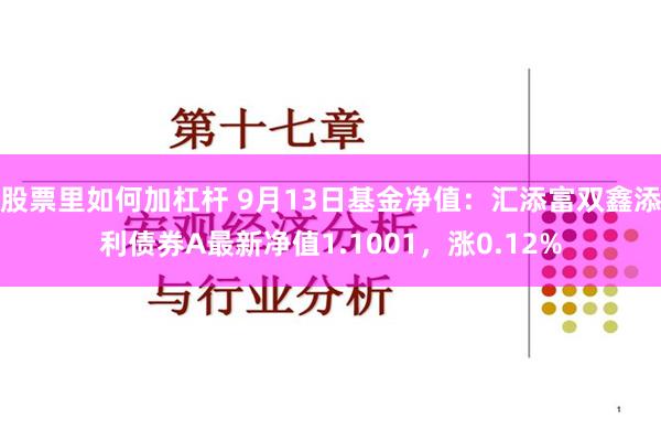 股票里如何加杠杆 9月13日基金净值：汇添富双鑫添利债券A最新净值1.1001，涨0.12%