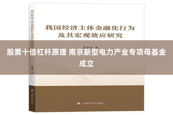 股票十倍杠杆原理 南京新型电力产业专项母基金成立