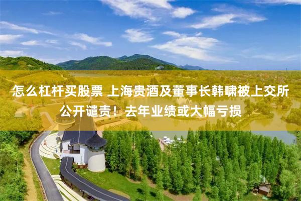 怎么杠杆买股票 上海贵酒及董事长韩啸被上交所公开谴责！去年业绩或大幅亏损