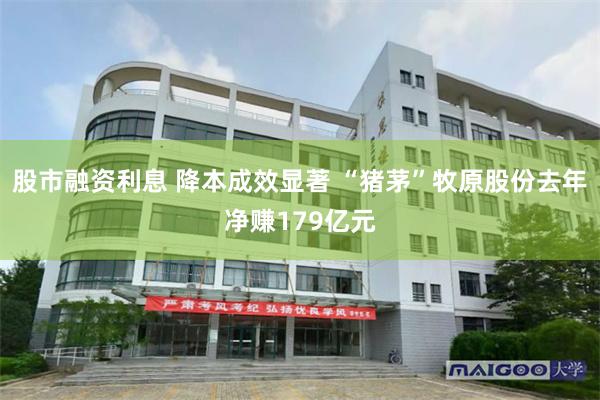 股市融资利息 降本成效显著 “猪茅”牧原股份去年净赚179亿元
