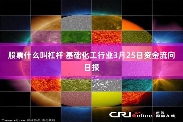 股票什么叫杠杆 基础化工行业3月25日资金流向日报