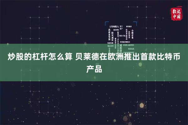 炒股的杠杆怎么算 贝莱德在欧洲推出首款比特币产品