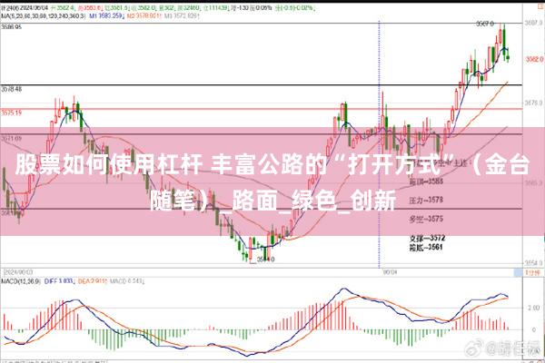 股票如何使用杠杆 丰富公路的“打开方式”（金台随笔）_路面_绿色_创新