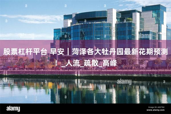 股票杠杆平台 早安｜菏泽各大牡丹园最新花期预测！_人流_疏散_高峰