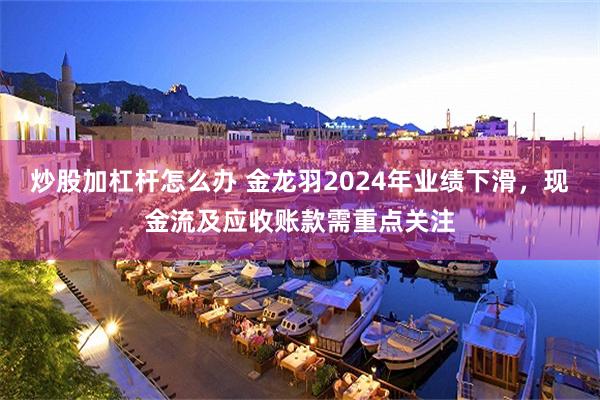 炒股加杠杆怎么办 金龙羽2024年业绩下滑，现金流及应收账款需重点关注