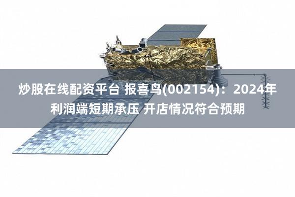 炒股在线配资平台 报喜鸟(002154)：2024年利润端短期承压 开店情况符合预期