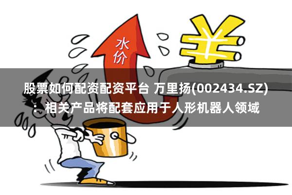 股票如何配资配资平台 万里扬(002434.SZ)：相关产品将配套应用于人形机器人领域