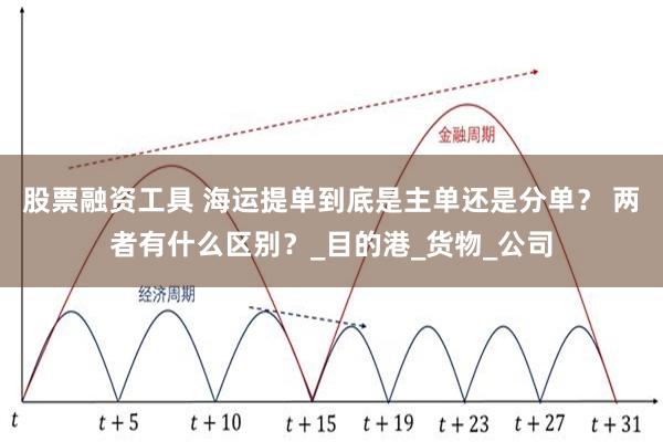 股票融资工具 海运提单到底是主单还是分单？ 两者有什么区别？_目的港_货物_公司