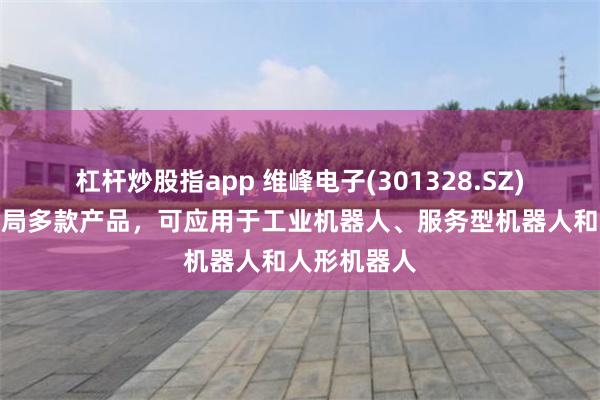杠杆炒股指app 维峰电子(301328.SZ)：已开发布局多款产品，可应用于工业机器人、服务型机器人和人形机器人