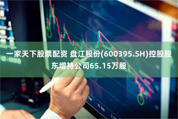 一家天下股票配资 盘江股份(600395.SH)控股股东增持公司65.15万股