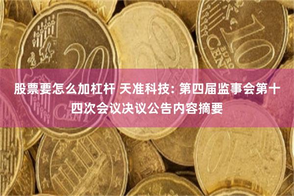 股票要怎么加杠杆 天准科技: 第四届监事会第十四次会议决议公告内容摘要