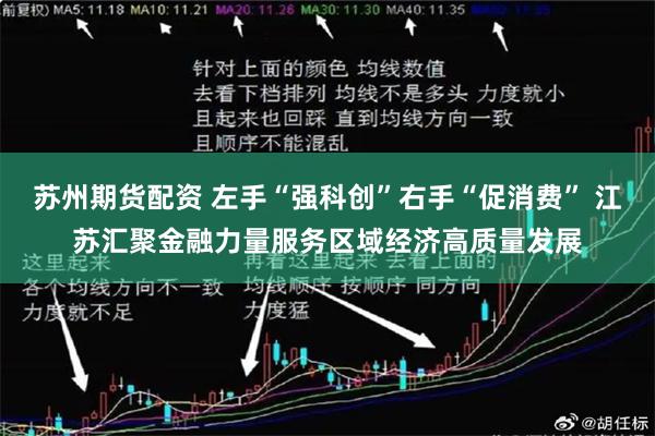 苏州期货配资 左手“强科创”右手“促消费” 江苏汇聚金融力量服务区域经济高质量发展
