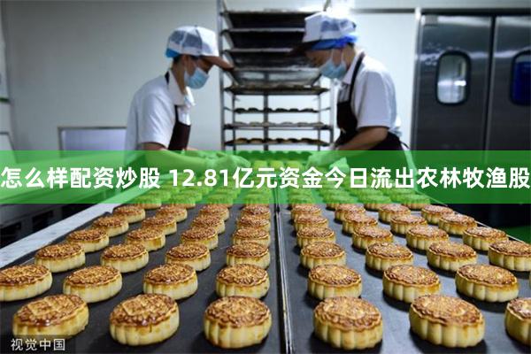 怎么样配资炒股 12.81亿元资金今日流出农林牧渔股