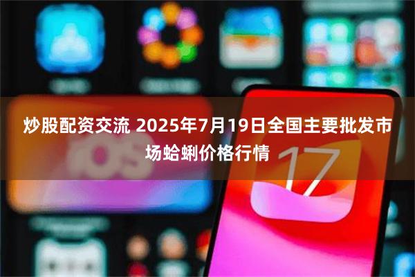 炒股配资交流 2025年7月19日全国主要批发市场蛤蜊价格行情