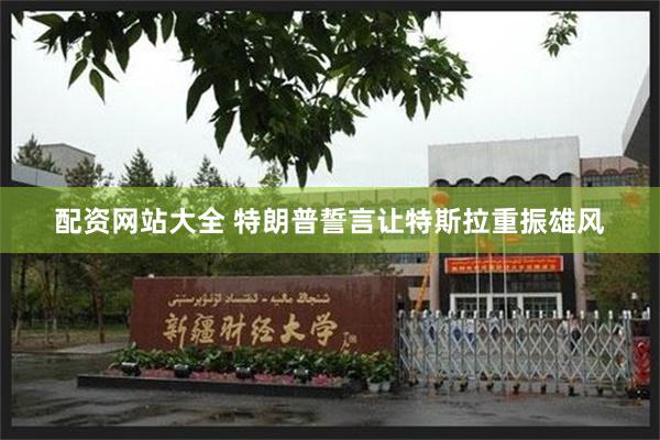 配资网站大全 特朗普誓言让特斯拉重振雄风