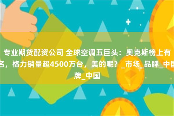 专业期货配资公司 全球空调五巨头：奥克斯榜上有名，格力销量超4500万台，美的呢？_市场_品牌_中国
