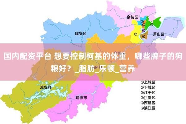 国内配资平台 想要控制柯基的体重，哪些牌子的狗粮好？_脂肪_乐顿_营养