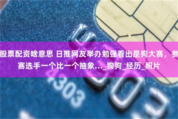 股票配资啥意思 日推网友举办勉强看出是狗大赛，参赛选手一个比一个抽象..._狗狗_经历_照片