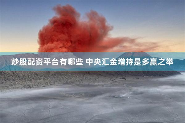 炒股配资平台有哪些 中央汇金增持是多赢之举