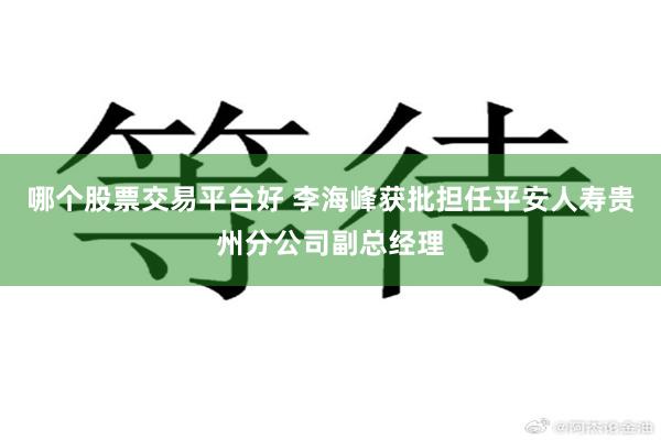 哪个股票交易平台好 李海峰获批担任平安人寿贵州分公司副总经理